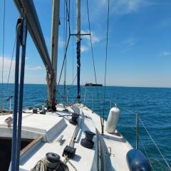 Hébergement insolite Cormoran Bay