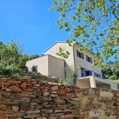Splendide villa avc piscine-les Collines Bastia