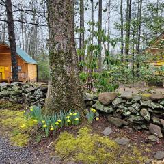 Smoky Mountain Retreat - 2 Cabins
