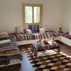 Mansouria Ranch - Cairo - Egypt