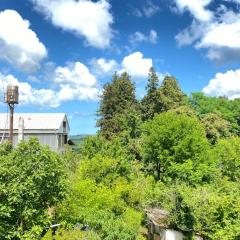 Chitovich Eco Stay