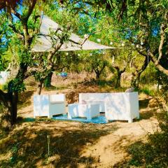 Casa Isabella- Barbecue, Giardino