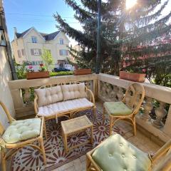 Villa de la Semm - Iconique à Colmar avec parking