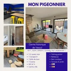Ancien Pigeonnier Centre-Ville historique de Vesoul Bain nordique Terrasse Jardin Animaux bienvenus