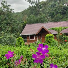 Don's River Valley Jungle Resort
