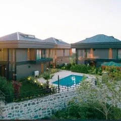 Luxury Villas