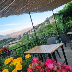 Tony's Terrace