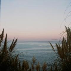 Apartment 2 rooms with terrace near ocean