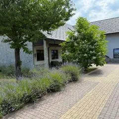 Villa Stone