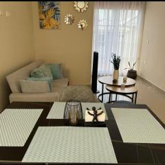 Beautiful apartment in Colonia Universidad