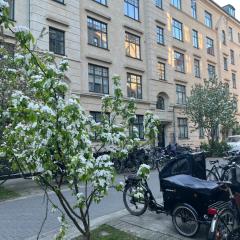 Apartment in the heart of Vestebro