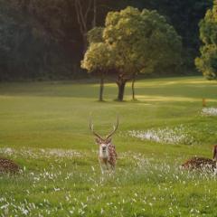 Gokarna Forest Resort Kathmandu