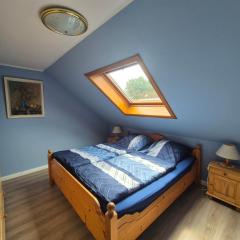 Große Ferienwohnung in der Natur Husum Hattstedt Nordsee Meer