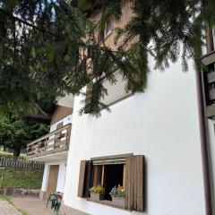 Ca' Virginia - Val di Fassa