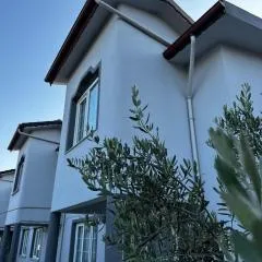Çınar Hostel & Pansiyon