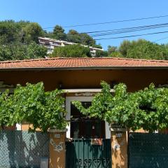 Villa Serenice - F2 au calme, climatisé, WIFI et parking gratuit
