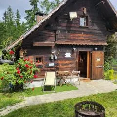 Urige Waldbienenhütte