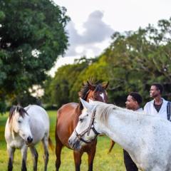 Galloping Adventures
