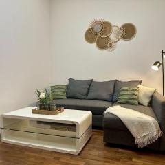 City & River Apartment