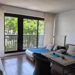 Appartement T2 à Seignosse - Plages et Commerces à Pied - FR-1-239-1138