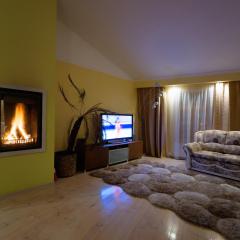 Daugava rrlux Penthouse with fireplace and free parking