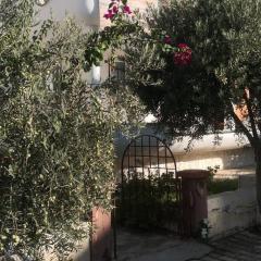 Complete renovated Large Villa