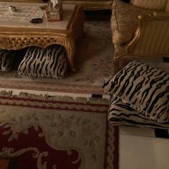 Netflix classy central grown floor flat