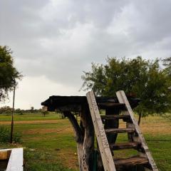 Farm stay in Jaisalmer home 4 friends