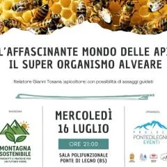 Adamello Peak ONE Apartment