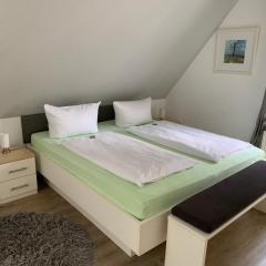 Strandflieder Backbord