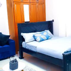 Ayan homes