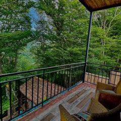 თორო Thoreau