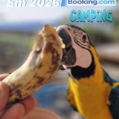 Camping Cafundó Coffee