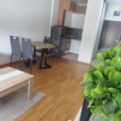 Apartman Tasha