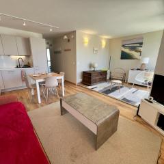 Charmant T2 lumineux Arcachon