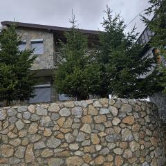 LM Villa