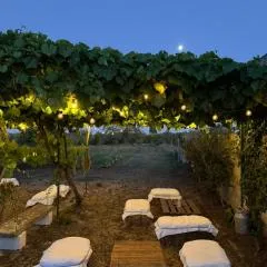 La Rondine bed and breakfast