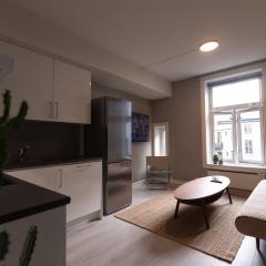 Nordic Style - Modern downtown apartment