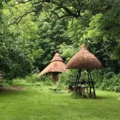 Thatched Roundhouse in Somerset Woodland
