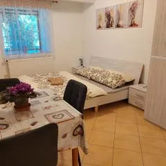 Ubytování Hamry