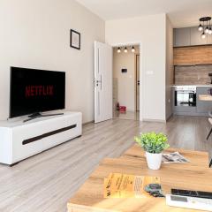 Modern 1BR Apartment with Free Street Parking and free Gym Pass