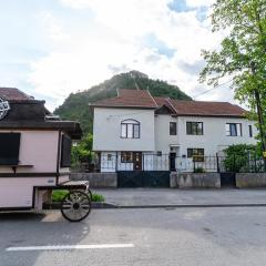 Vila Mihu Cetate