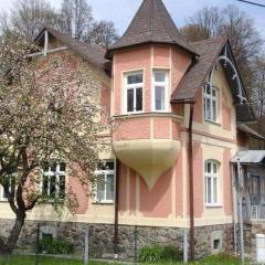 Rodinný apartmán Villa Magnólie - Lipová lázně