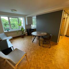 Central apartment in Võru