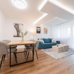 Central Apartment 44