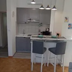 Appartamento Volta