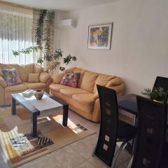 Guest House Amaya Riva