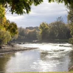 Reflections Tumut River