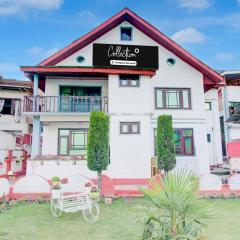 Collection O Foreshore Road Srinagar