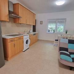 Apartment in Balatonlelle 40765